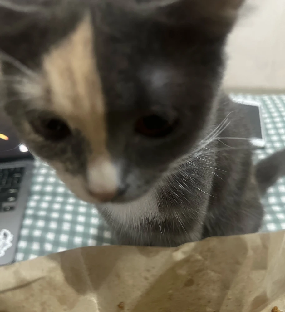GIF uploaded by rana