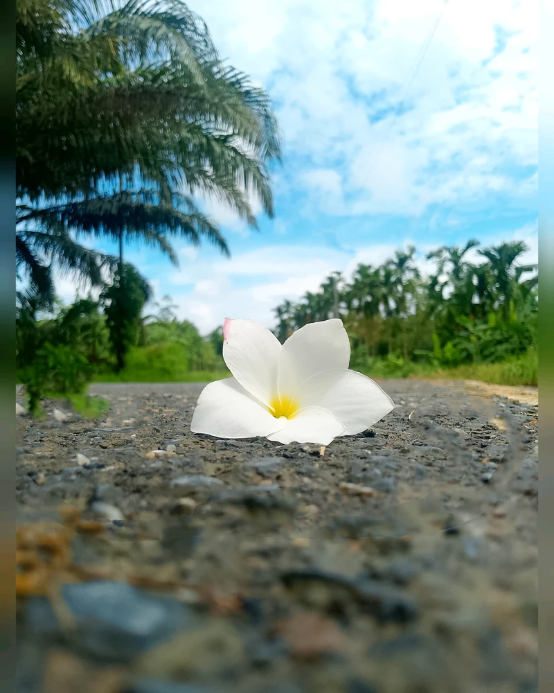 Image uploaded by Love