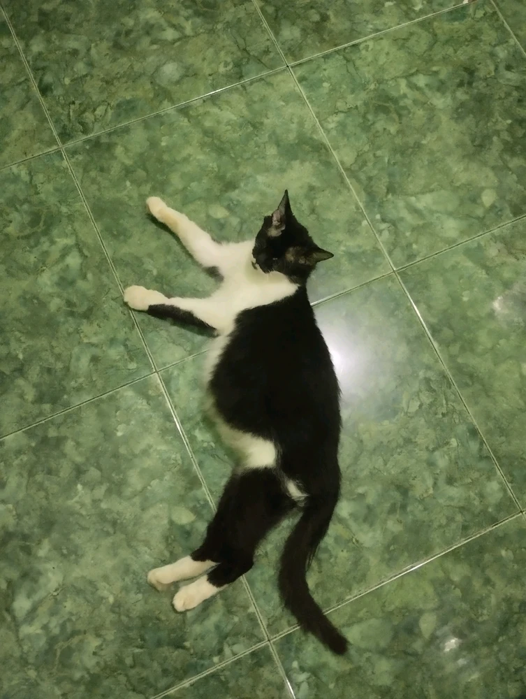 GIF uploaded by Zia