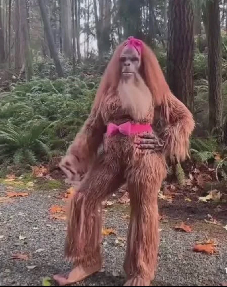 GIF diunggah oleh Jen