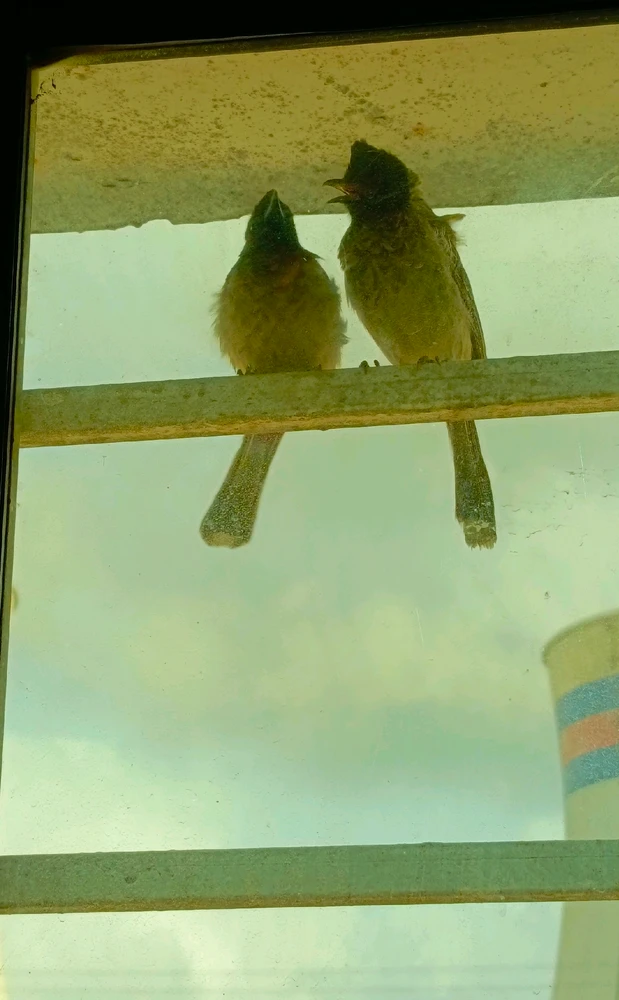 𝑨𝒏𝒆𝒆𝒍.. tarafından yüklenen GIF