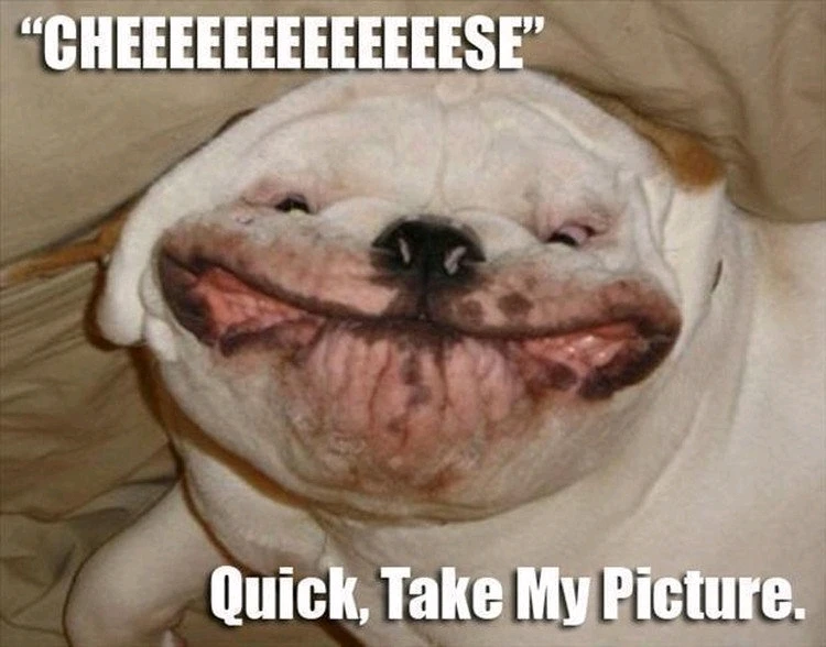 GIF uploaded by Saff
