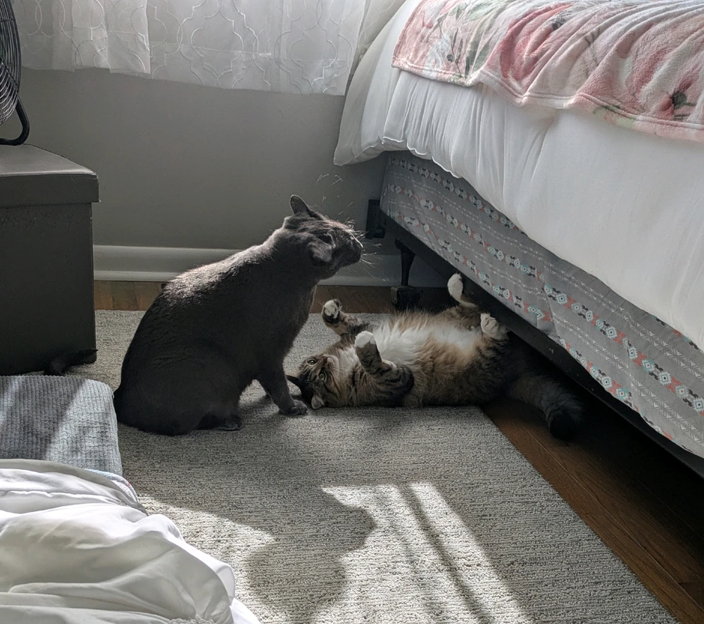 GIF uploaded by Nina