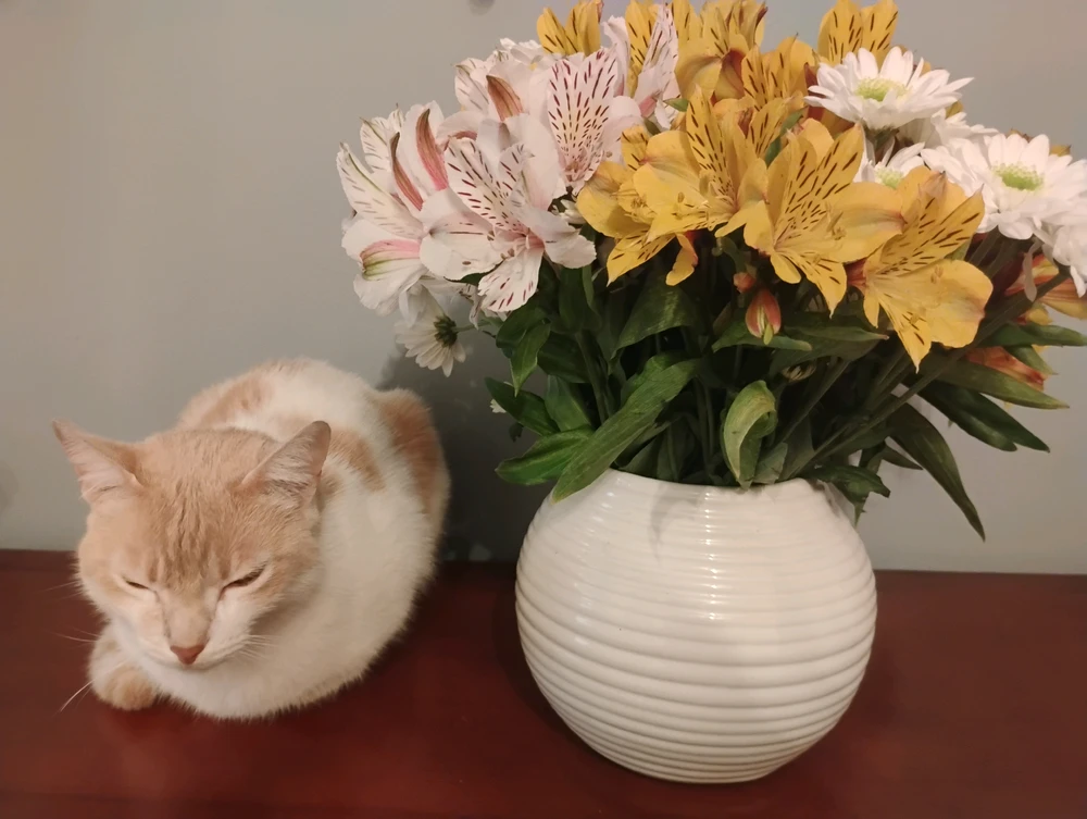 GIF uploaded by Sofy soff