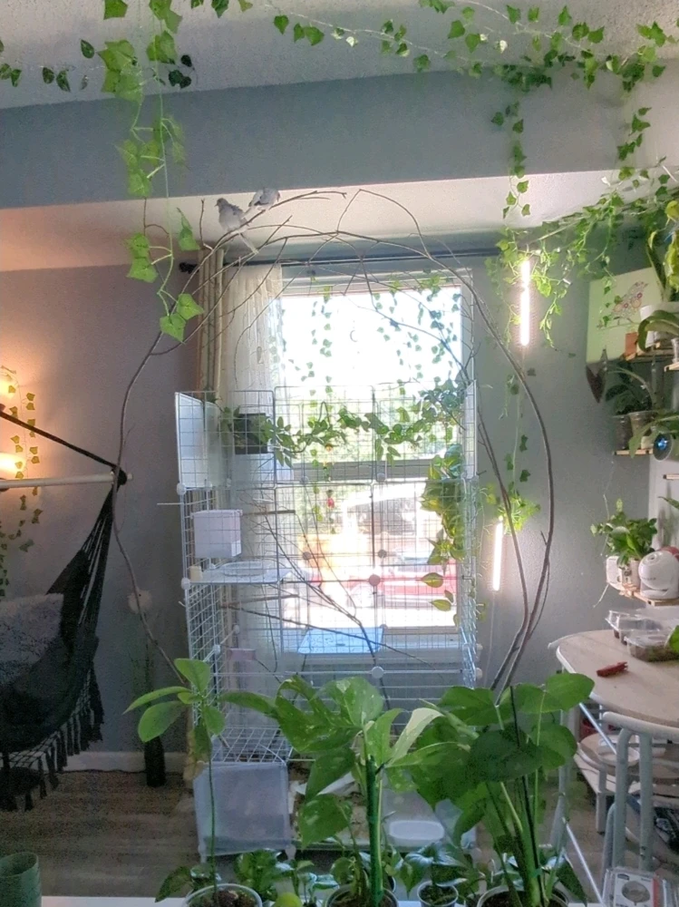Image uploaded by Sage