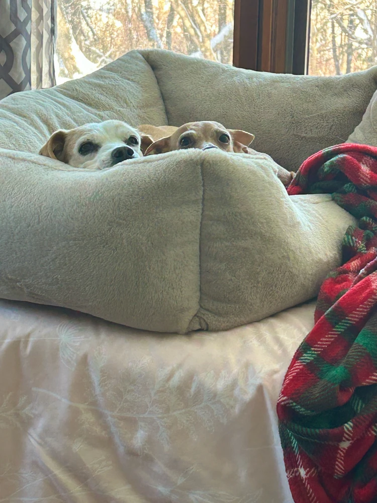 GIF uploaded by Corina