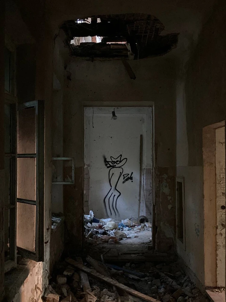 Image uploaded by Bosha