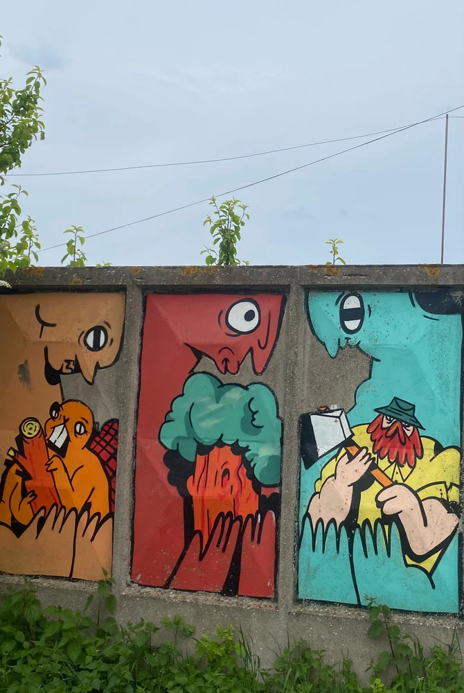 Image uploaded by Bosha