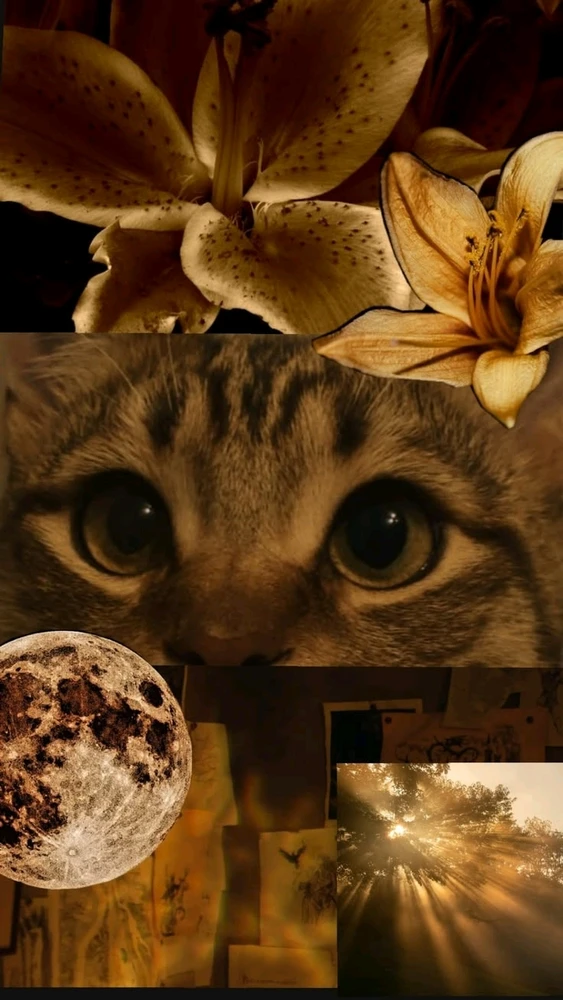Yağmur tarafından yüklenen GIF