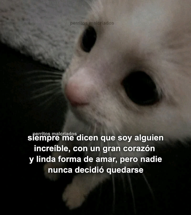 GIF subido por Said