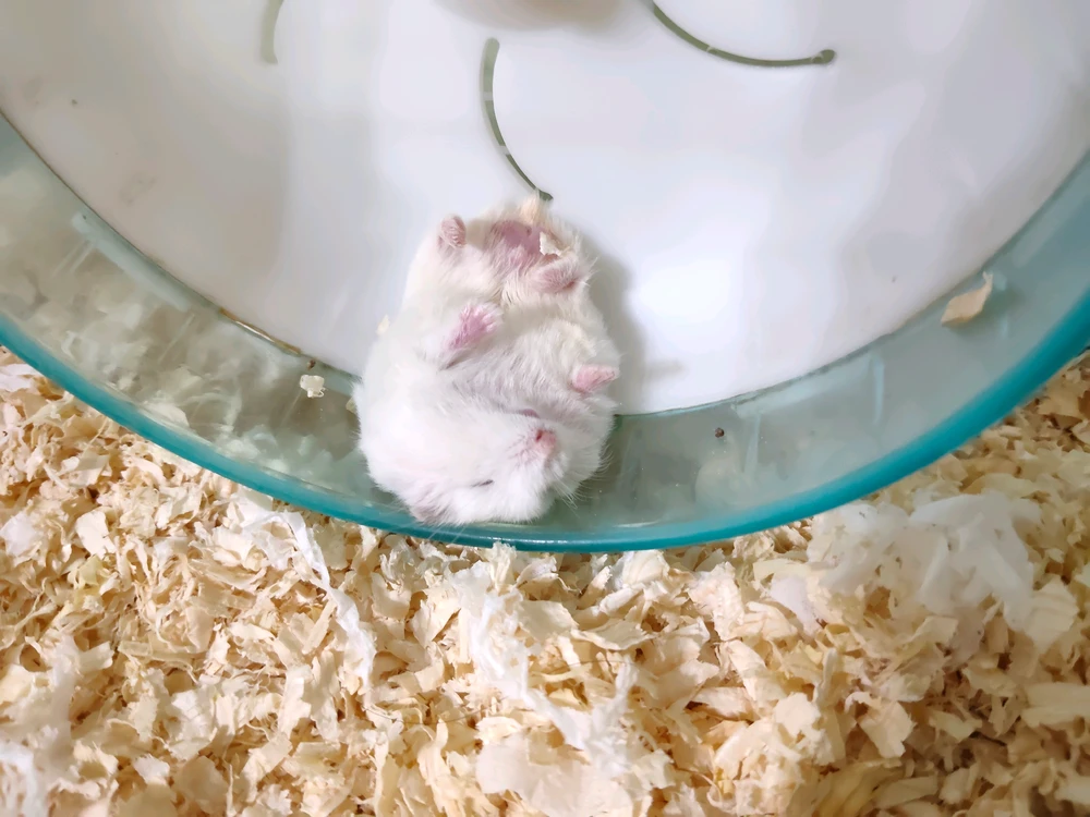 GIF uploaded by MJ