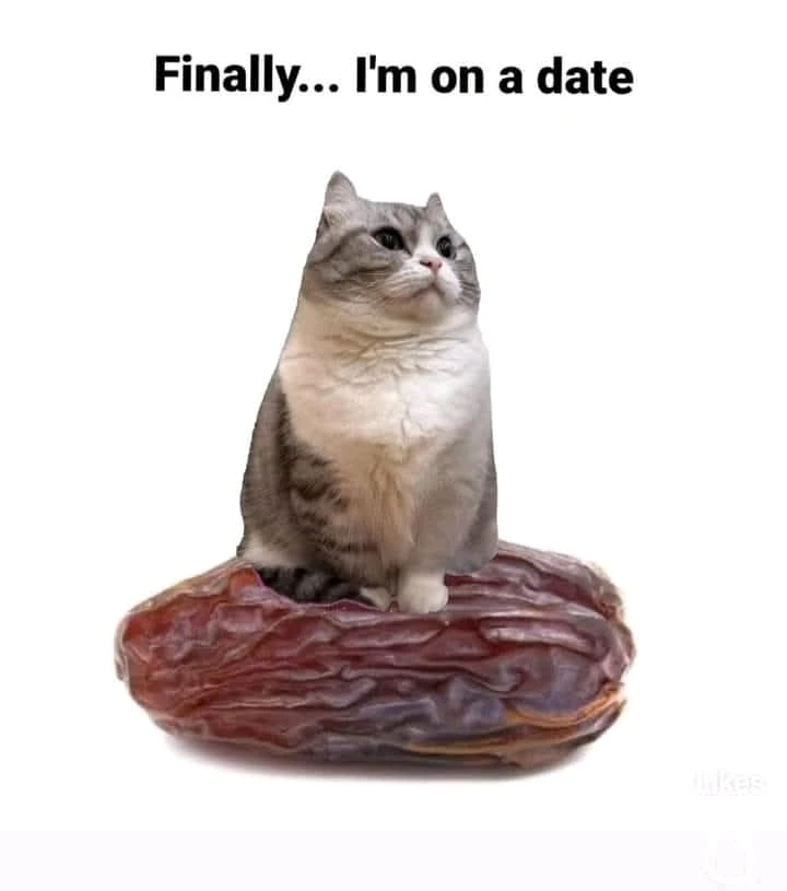 GIF uploaded by Crystal