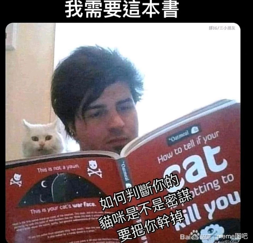 Image uploaded by JOJO