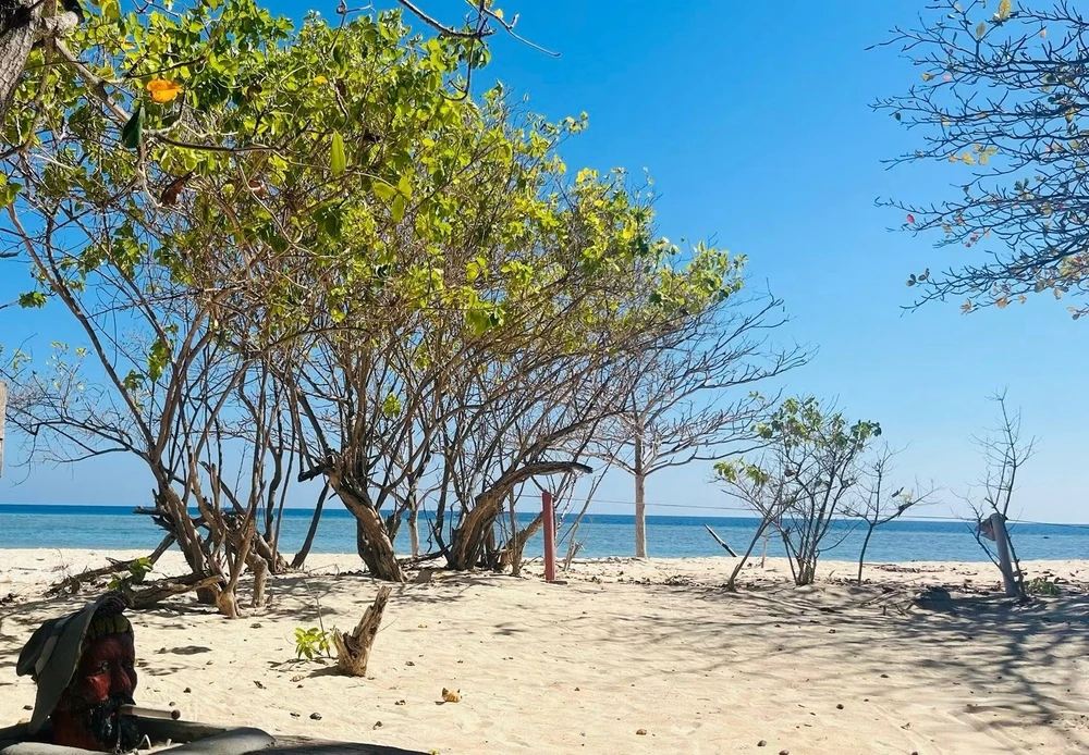 Image uploaded by Anasha