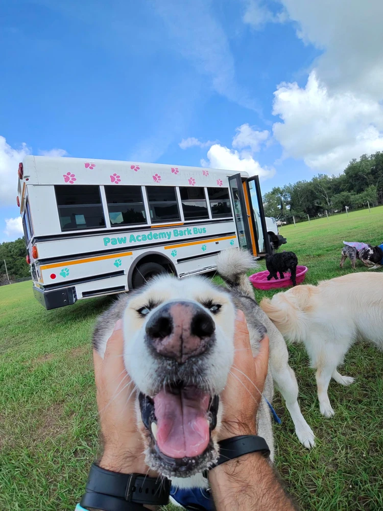 GIF uploaded by Zeth