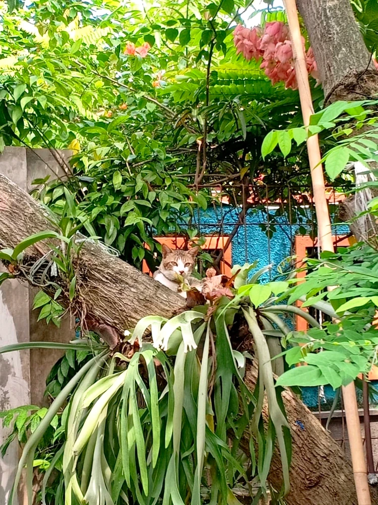 GIF diunggah ku Ane