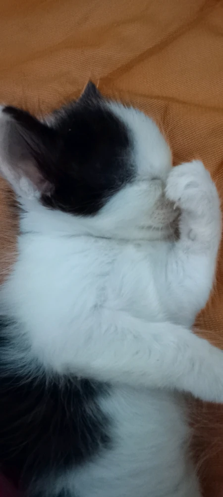 GIF gi-upload ni Izza