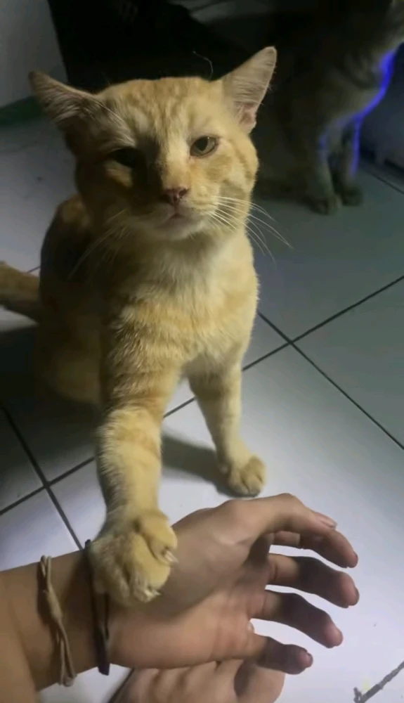 GIF uploaded by Frama
