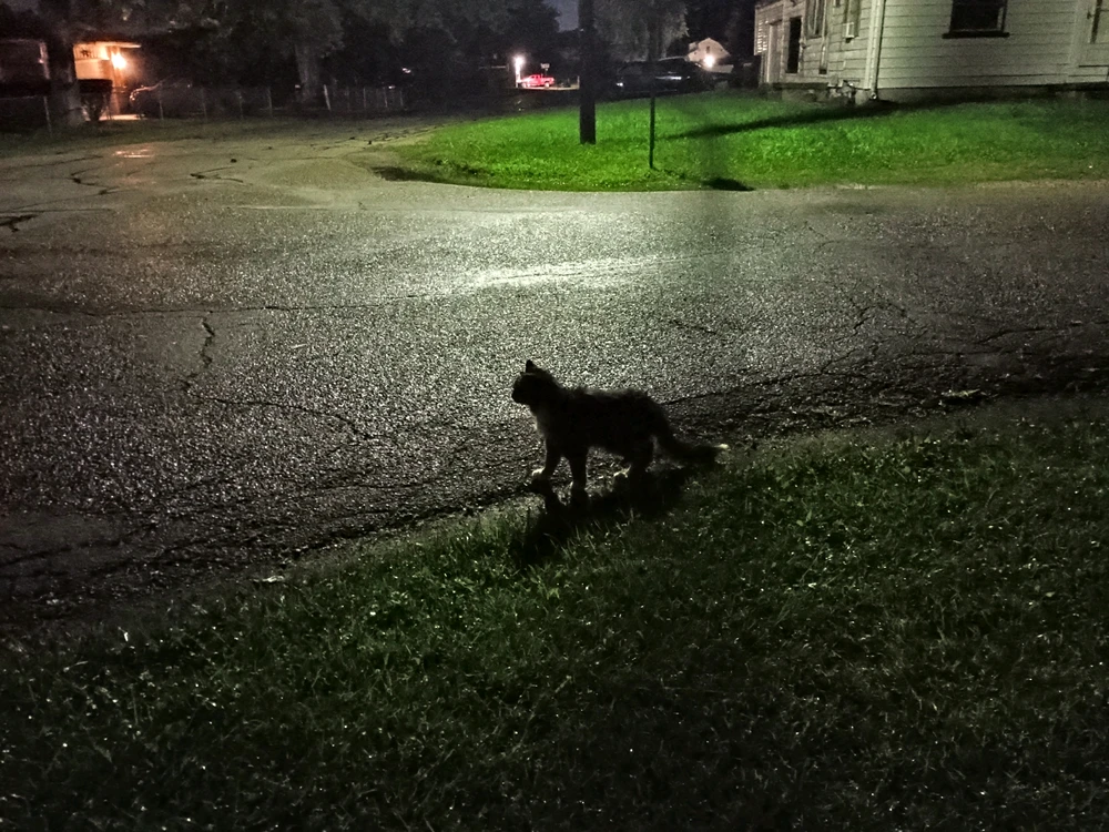 GIF uploaded by DeAngelo