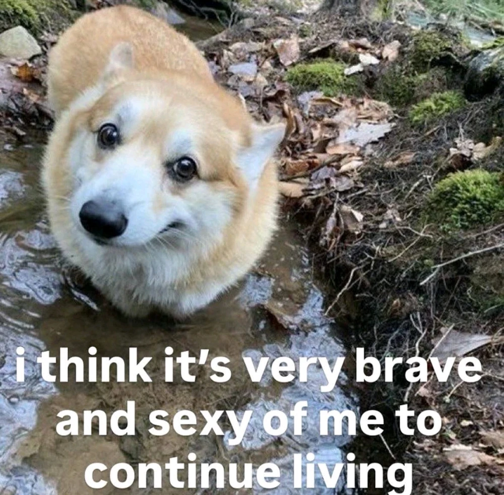GIF uploaded by Sophia