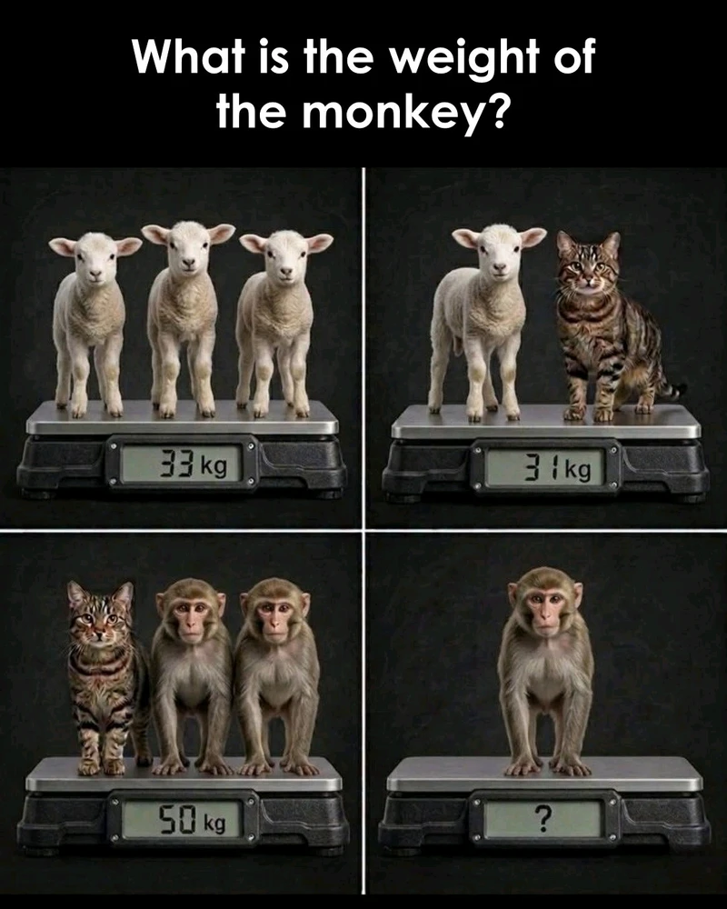 GIF uploaded by Andy