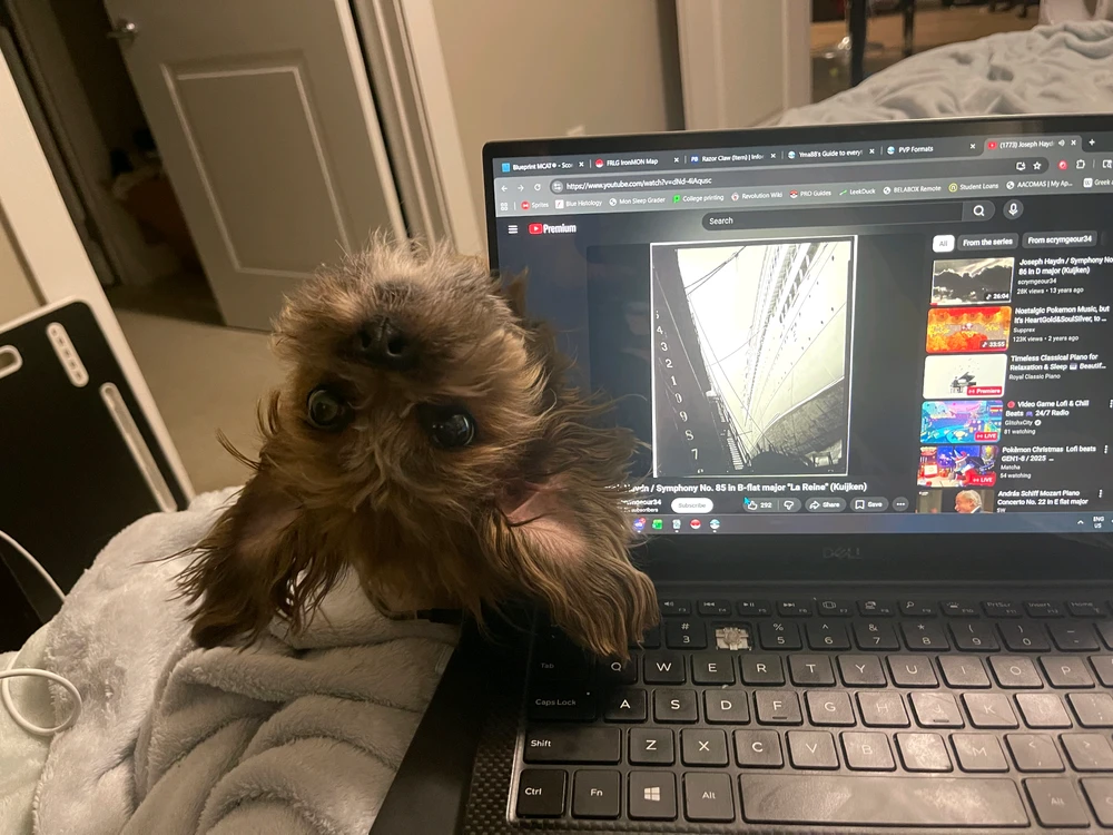 GIF uploaded by Ciara