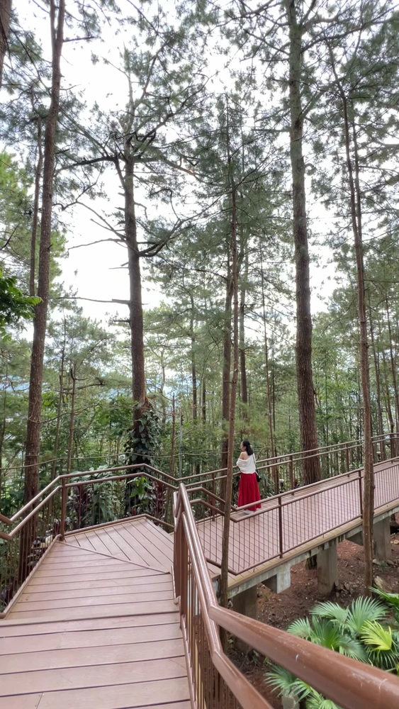 Image uploaded by Reya