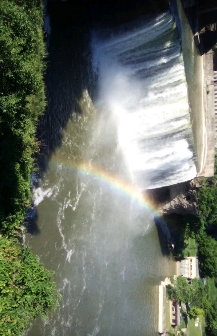 Image uploaded by Jayce