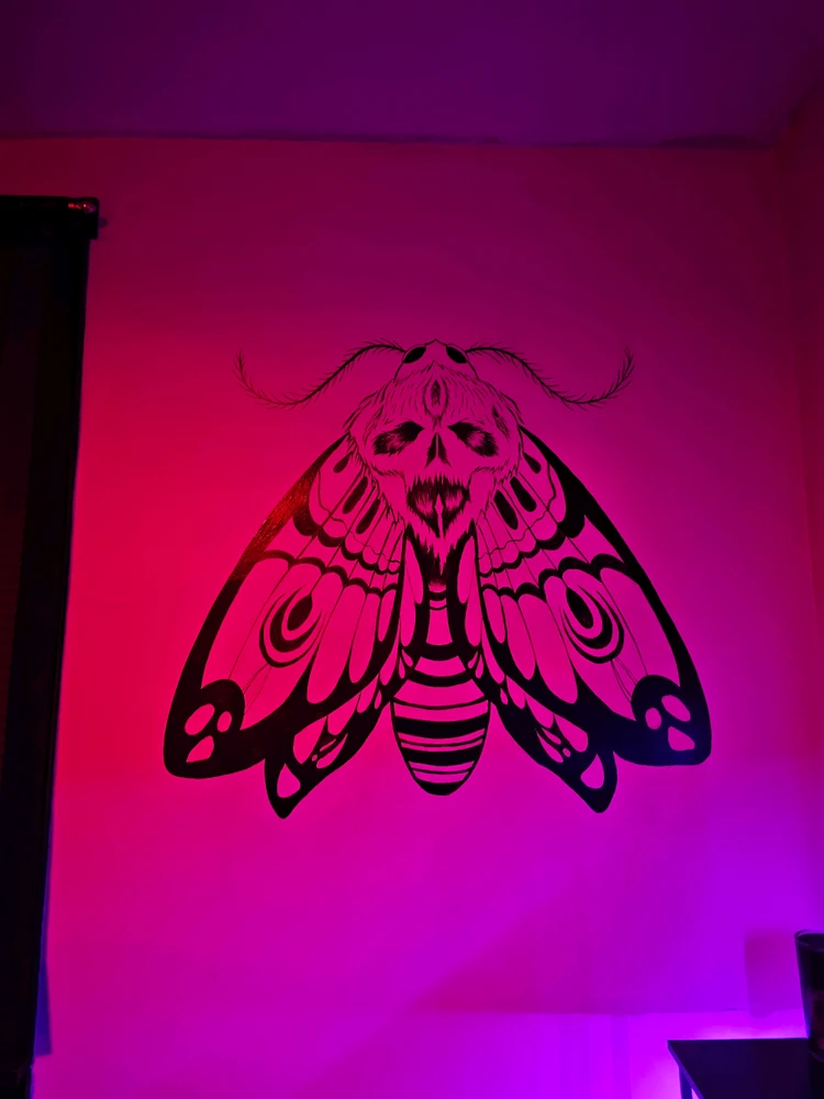 GIF uploaded by Branden