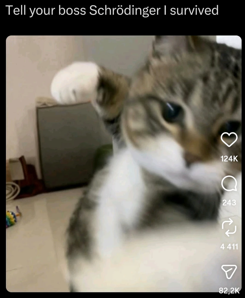 GIF آپلود شده توسط Sam