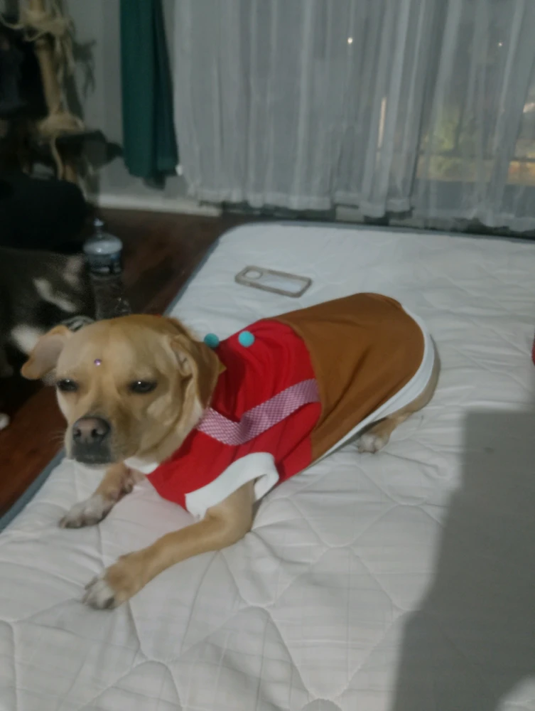Image uploaded by Paz