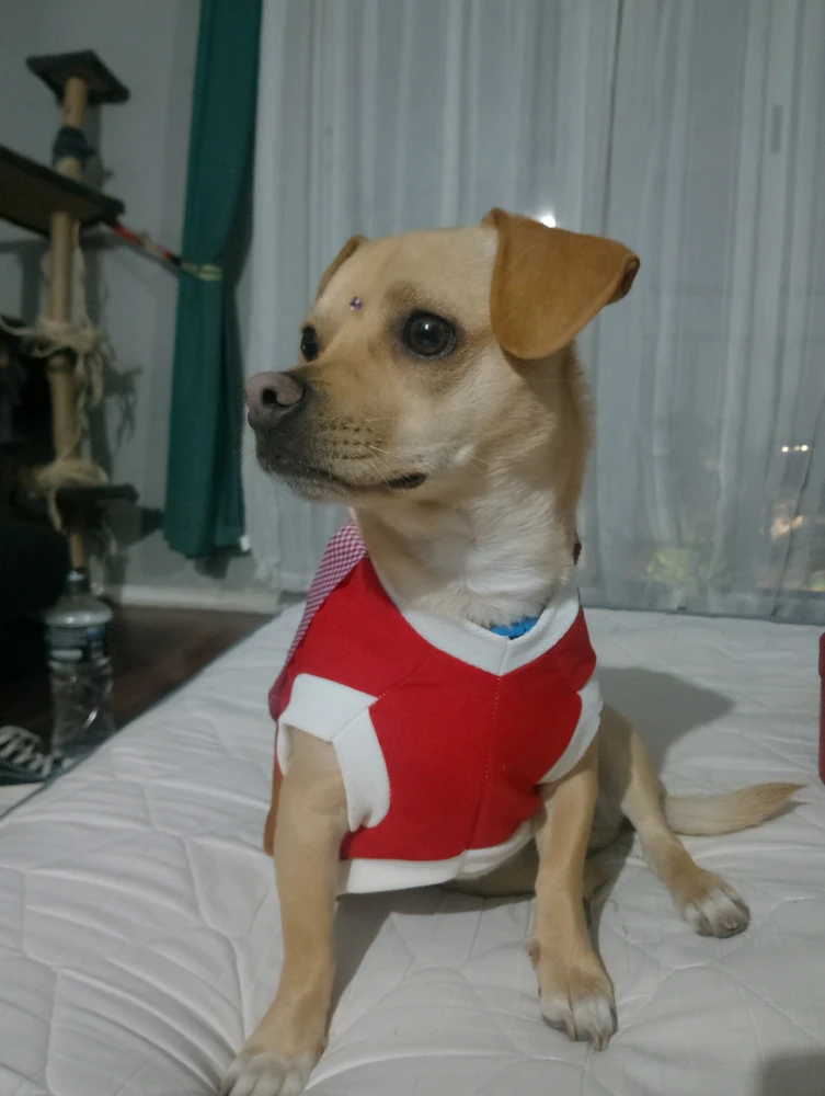 Image uploaded by Paz