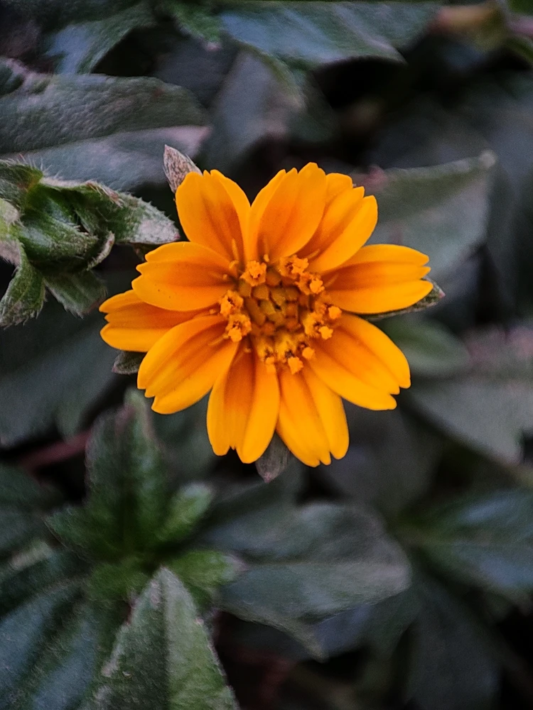 GIF uploaded by Mamun