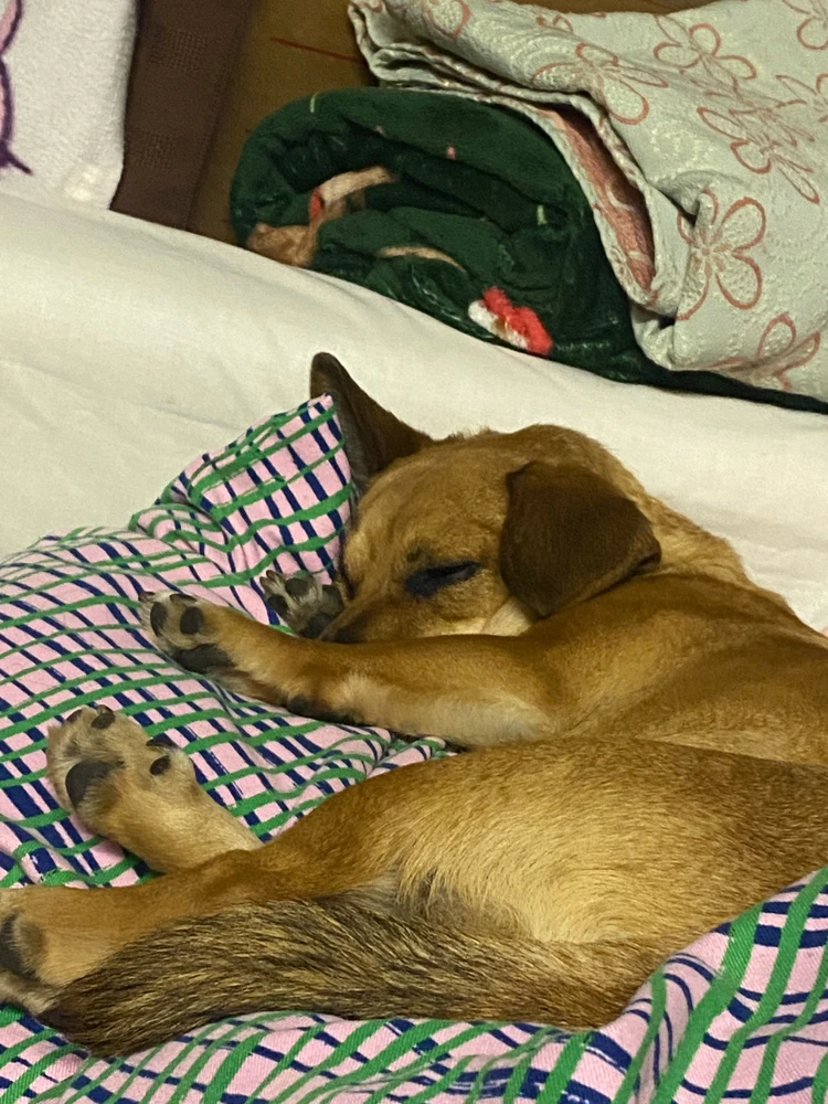 GIF uploaded by Jasmino