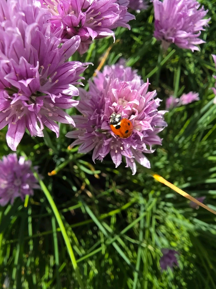 GIF uploaded by Raven