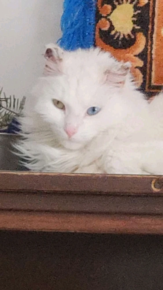 GIF uploaded by nono