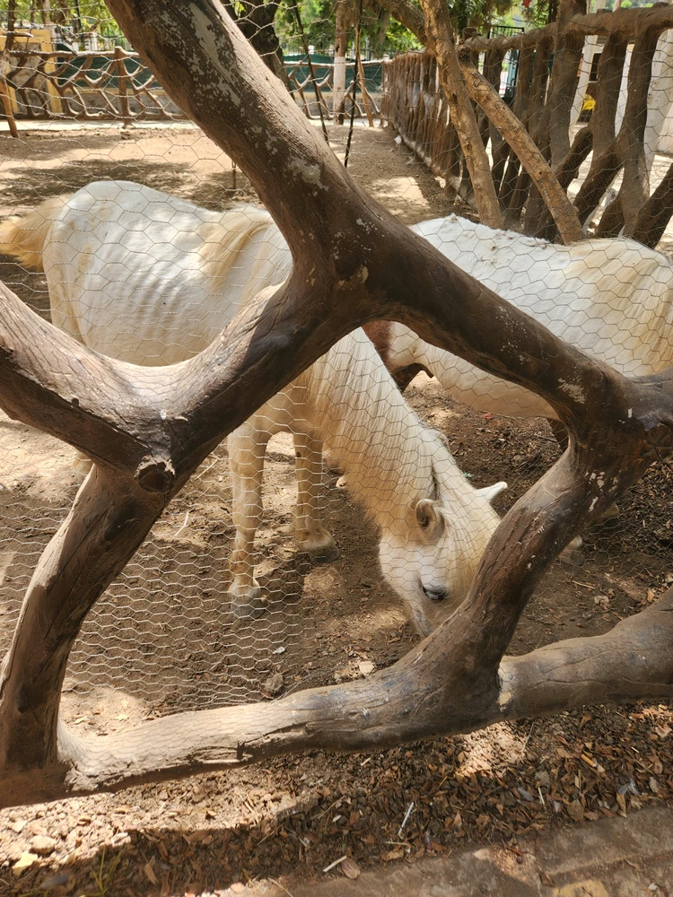 Image uploaded by Kawtar