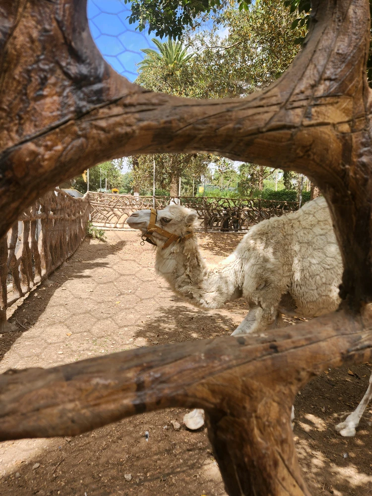 Image uploaded by Kawtar