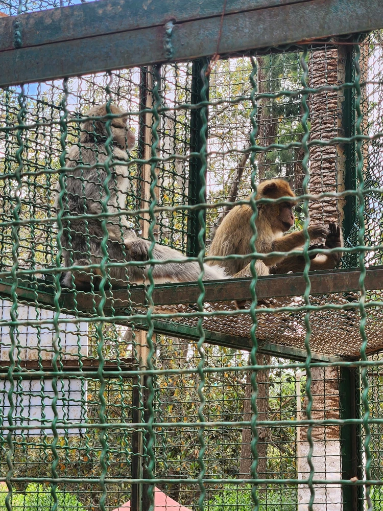 Image uploaded by Kawtar