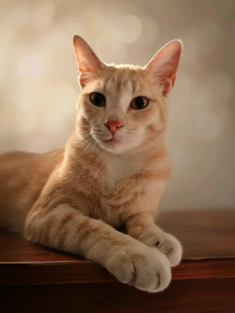GIF uploaded by Mar-louise
