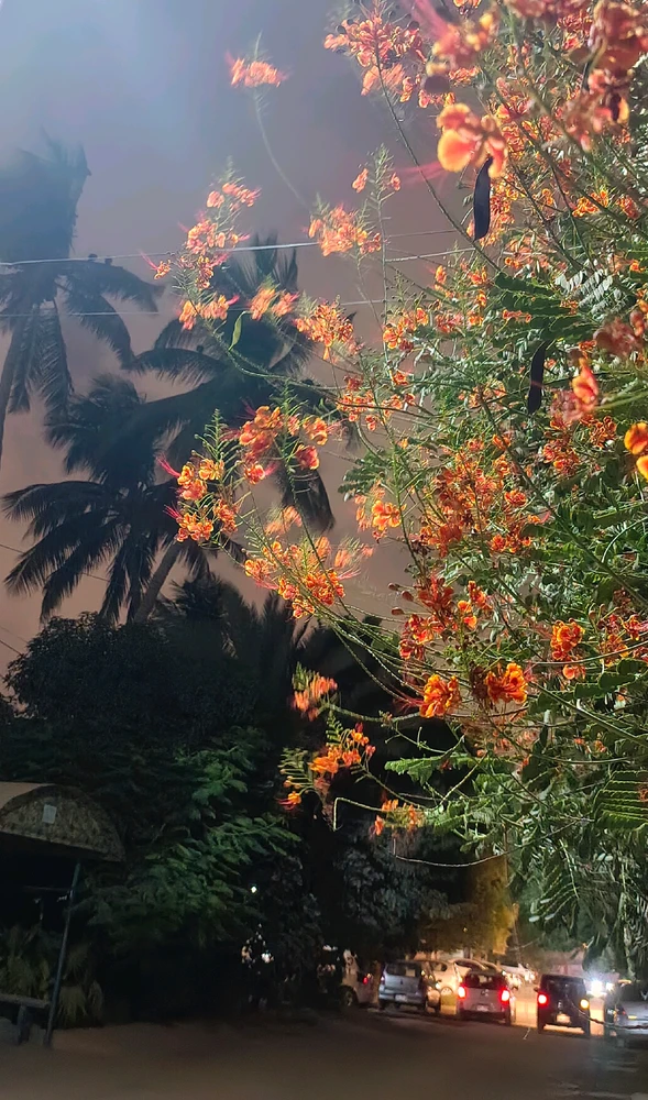 GIF uploaded by 𝑨𝒏𝒆𝒆𝒍..