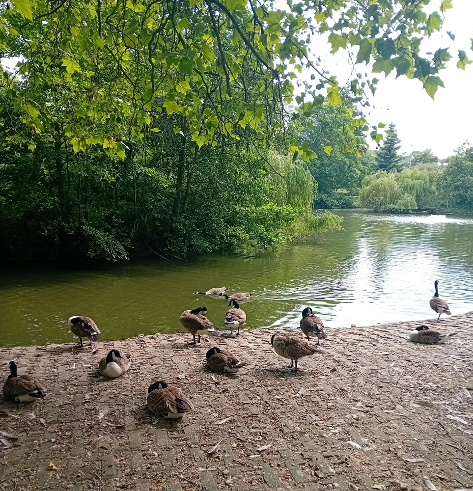 GIF uploaded by Saff