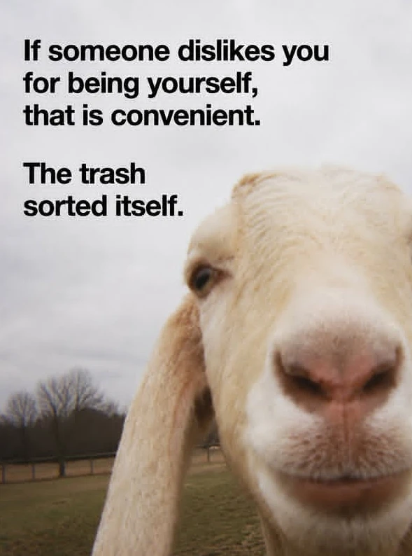 GIF uploaded by WVWVANA