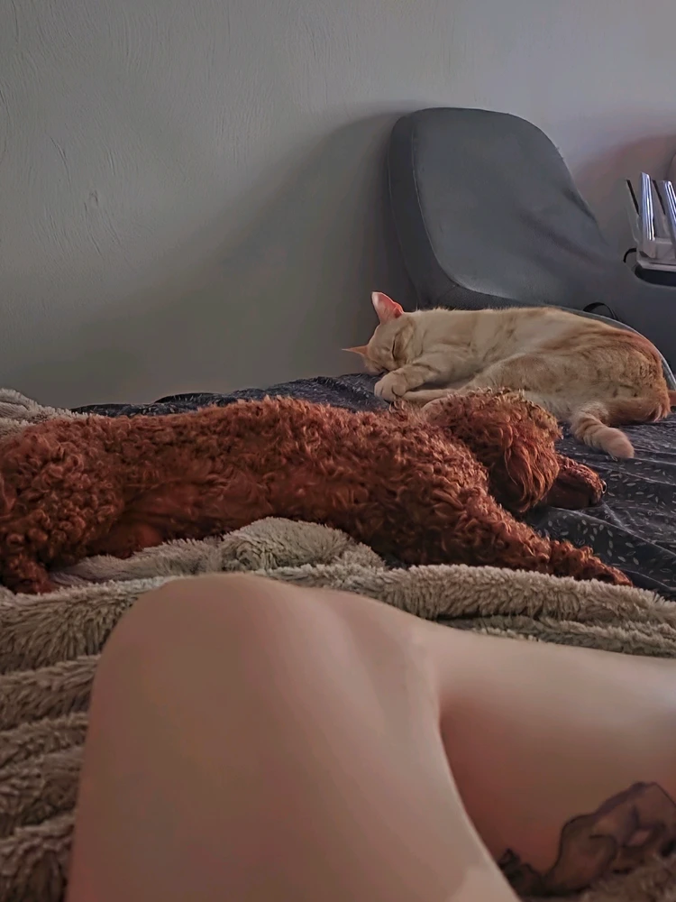 GIF uploaded by Ksenia