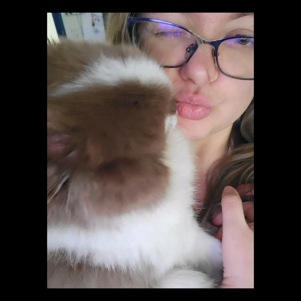 GIF uploaded by Christy