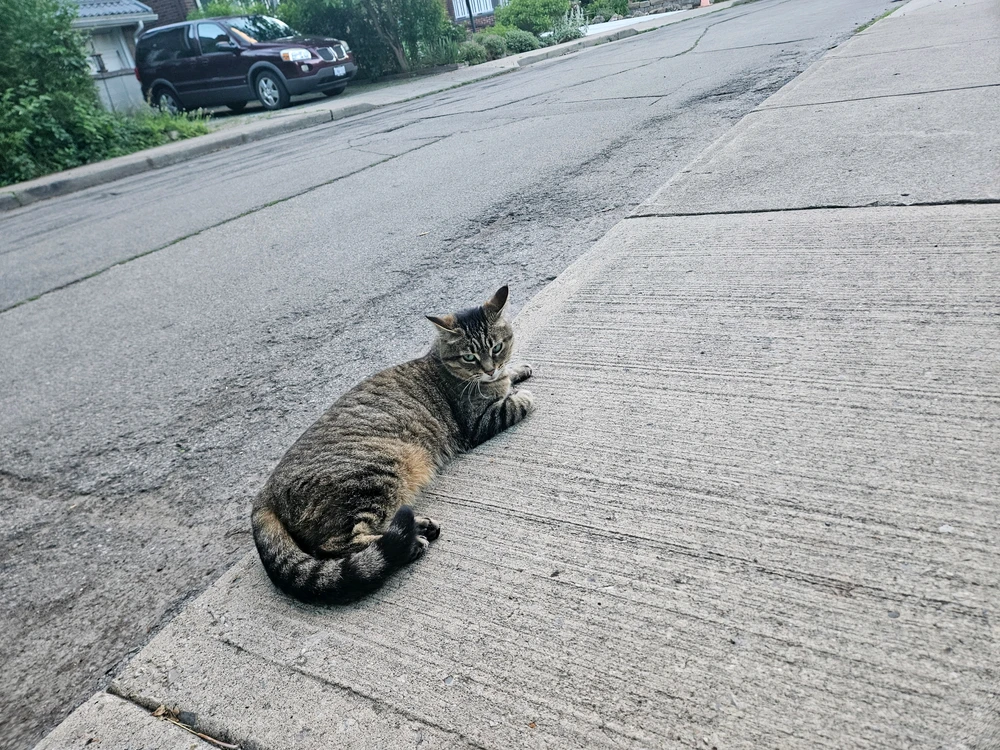 GIF încărcat de Alvin