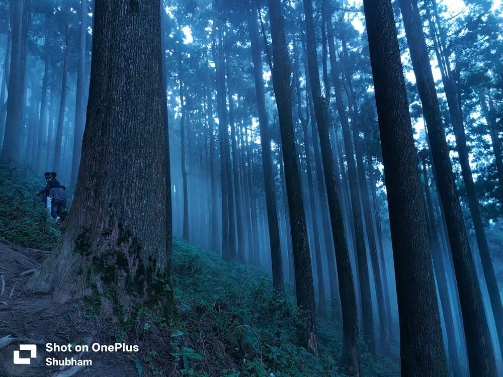 GIF uploaded by Shubham Anand