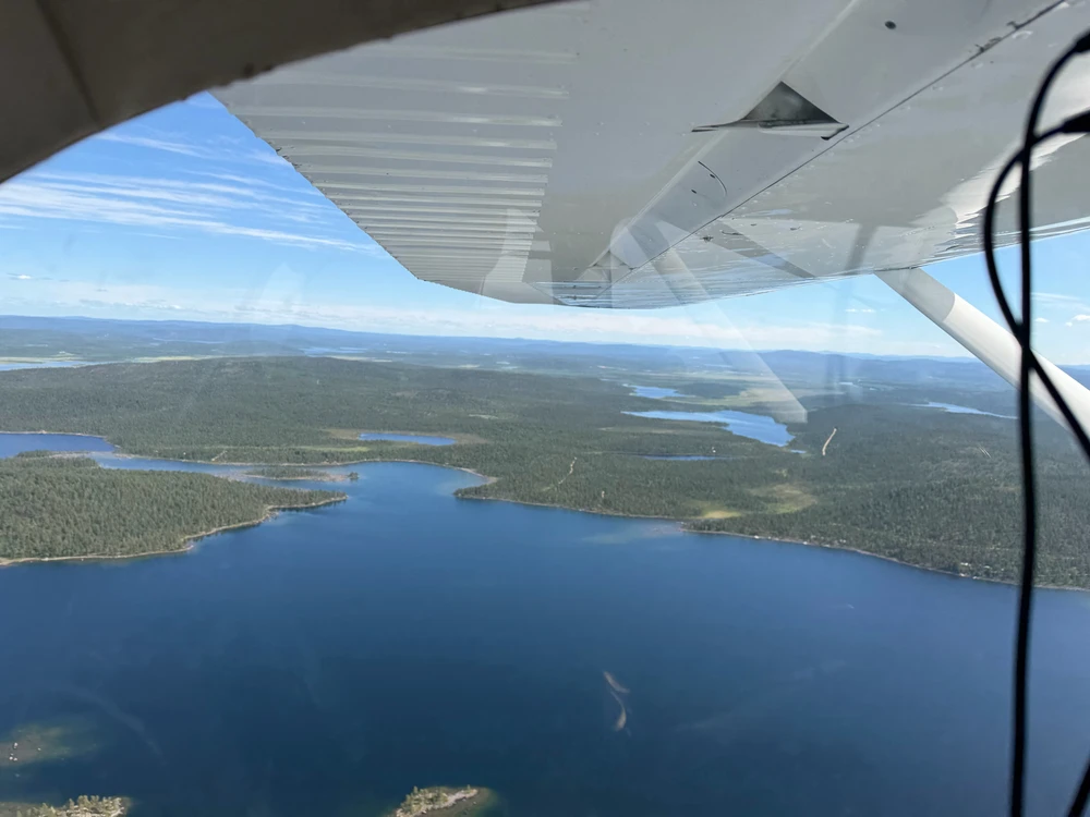 GIF eropgeluede vum Oskari