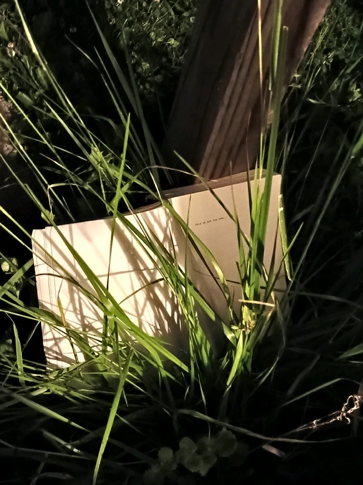 GIF uploaded by DeAngelo