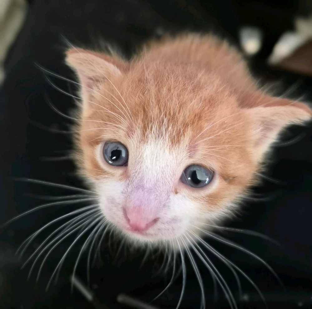 GIF uploaded by Harun